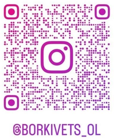 Instagram QR code